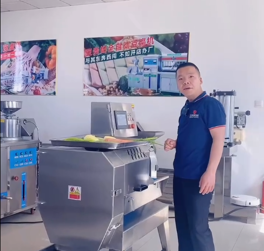 臺灣切菜機是不是全自動的