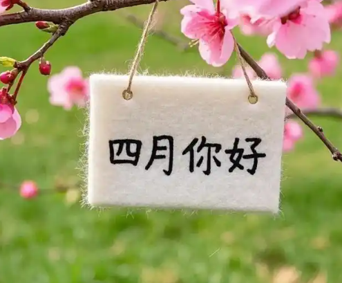 1744093801374500.png image.png